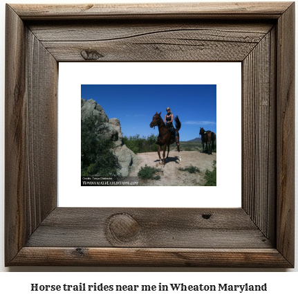 horse trail rides near me in Wheaton, Maryland